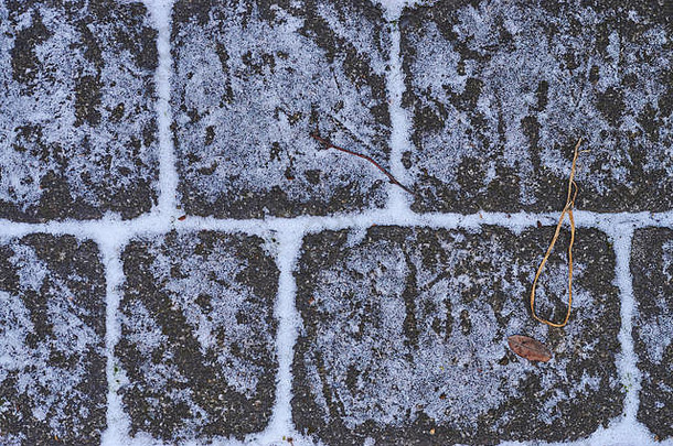 冬天第一场雪后鹅卵石上麻雀的足迹