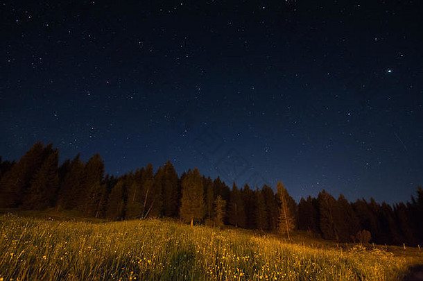 星光下的自然夜景