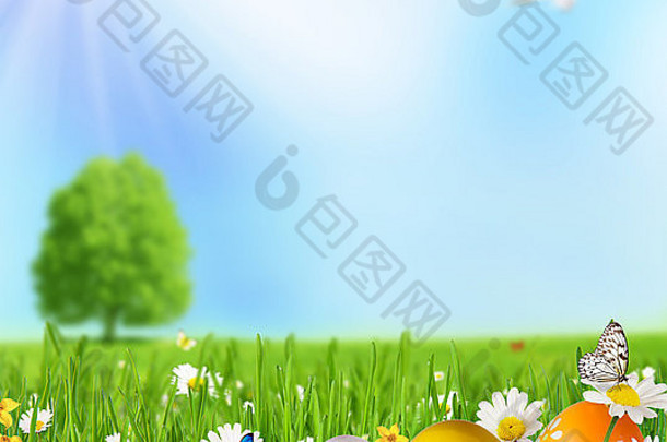 草地上的彩色复活节彩蛋。文本的可用空间