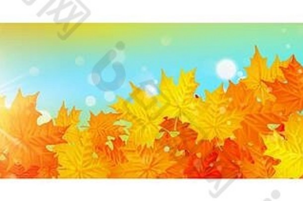 秋天横幅色彩斑斓的叶子黄金散景效果每股收益