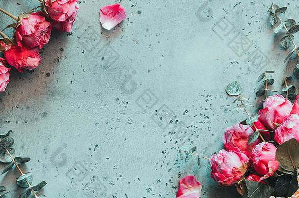 前视图花框架粉红色的玫瑰灰色混凝土背景概念春天情人节一天平躺