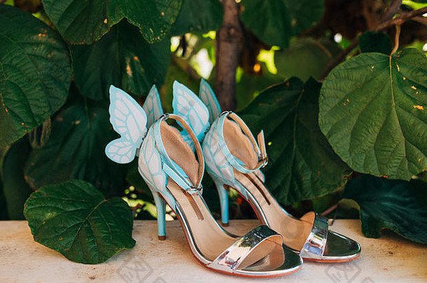 婚礼鞋子新娘叶子猕猴桃树