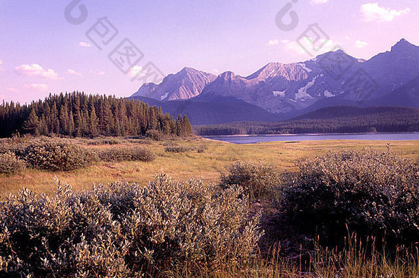 加拿大阿尔伯塔省卡纳纳斯基斯山脉和草地