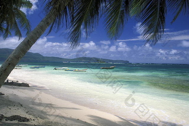 海滩村这些泰雷纳斯萨马纳翁多米尼加共和国加勒比海拉丁美国