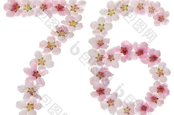 数字76，76，来自桃树的天然粉色花朵，在白色背景上分离