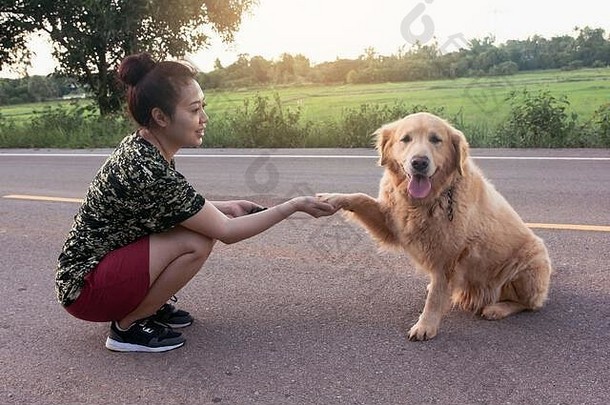 亚洲女人牵着金猎犬的爪子，握手，人与狗之间的友谊