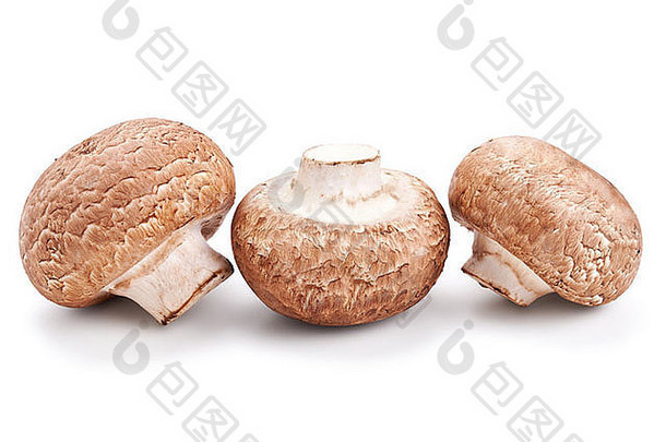 新鲜的<strong>蘑菇</strong>香榭丽舍孤立的白色背景