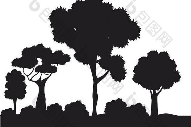 轮廓树灌木森林生态设计图像
