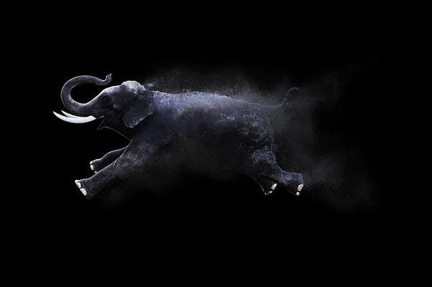 大象移动跳灰尘粒子效果黑色的背景插图