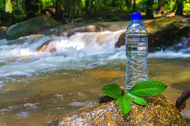 森林中溪流中的矿泉水瓶