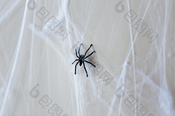 万圣节装饰黑色的玩具蜘蛛蜘蛛网