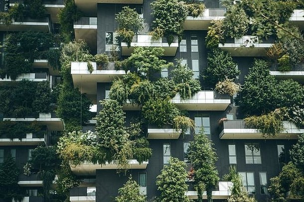 树成长阳台住宅建筑环境日常生活