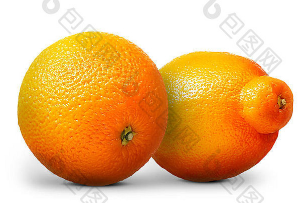 一组橘子和柑桔被隔离在白杨树上