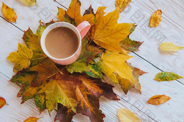 咖啡杯和黄色的秋叶背景。静物画，俯瞰，平展。