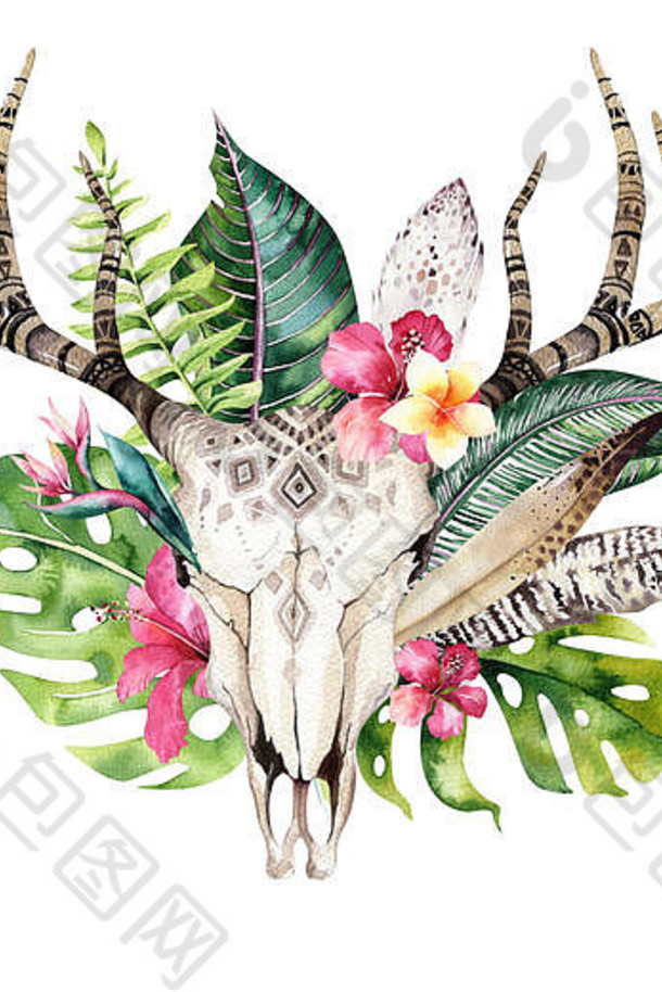 水彩画波希米亚牛头骨和热带棕榈叶。西部鹿哺乳动物。热带鹿波西米亚装饰印花鹿角。花，叶，羽毛。在白色背景上隔离。阿洛哈设计。