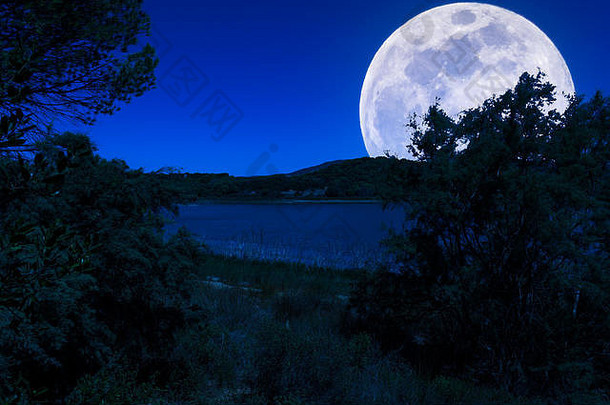 景观湖晚上超级月亮