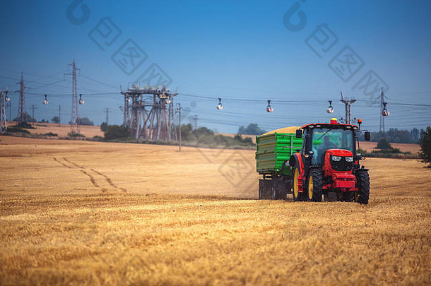农民驾驶满载谷物的农用拖拉机和拖车