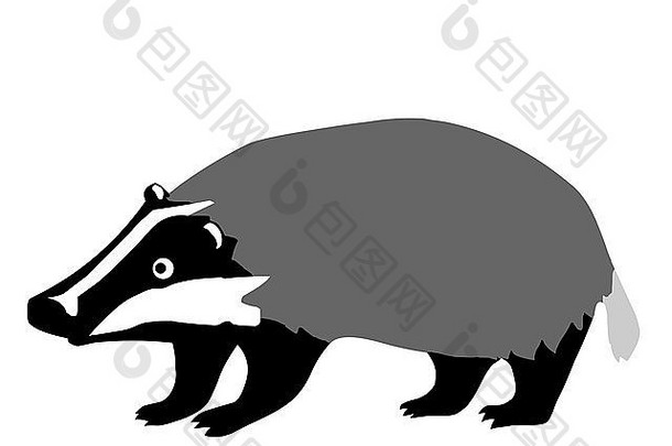 黑色的白色插图獾
