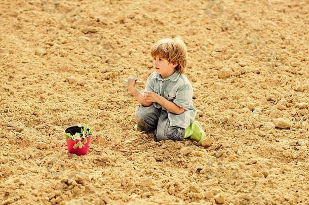 <strong>孩子</strong>玩小铲子和花盆里的植物。种苗。田间种植。花园里的小帮手。男孩在田里种花，在地上挖土。在农场工作。自然母亲的概念。