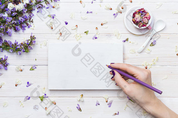空白的白色桌面场景，空白的木框架和春天的花朵