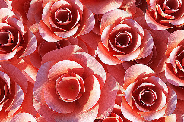 背景玫瑰代表抽象的浪漫和绽放