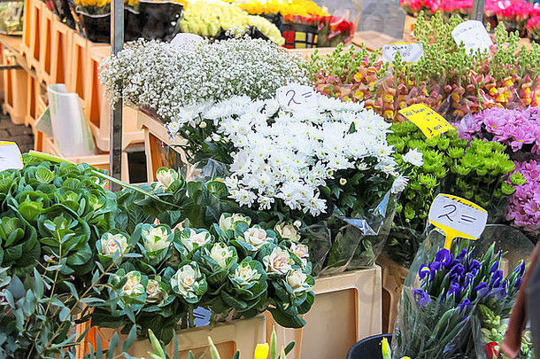 荷兰花卉市场上出售的花卉，荷兰