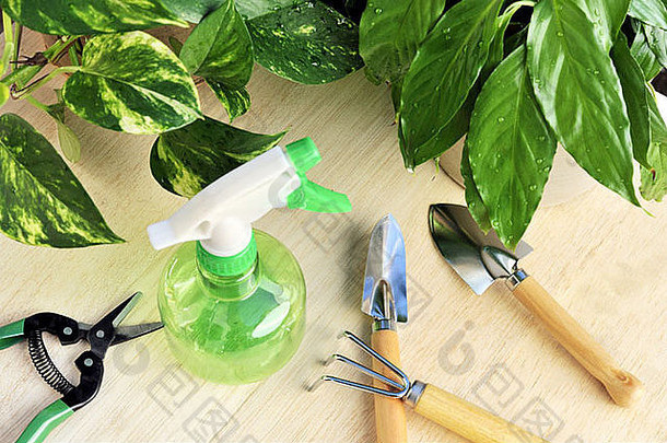 园艺工具和室内植物-静物