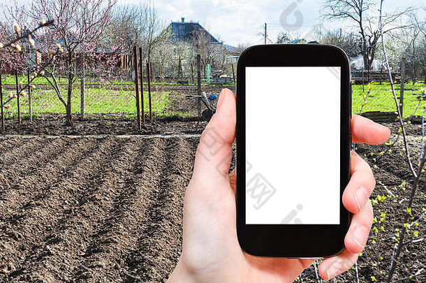 季节概念-农民在智能手机上拍摄耕耘菜园的照片，屏幕上留有广告空白