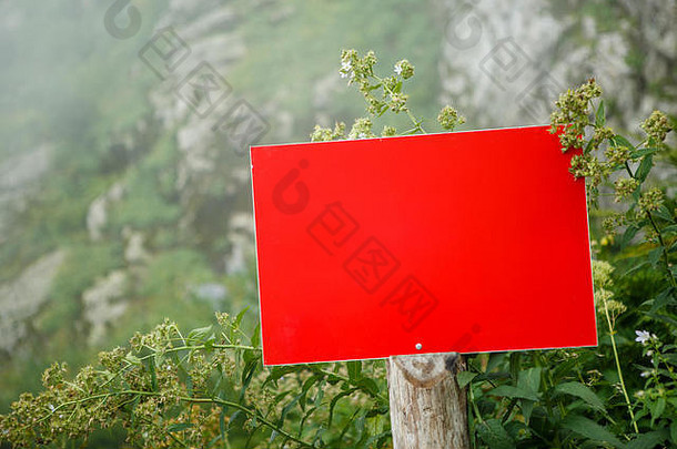 植物照片，红色空白板