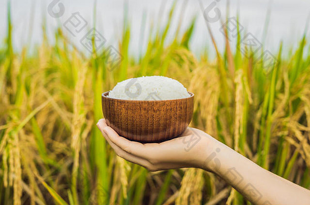 手拿着一杯木杯里的煮饭，背景是一片成熟的稻田