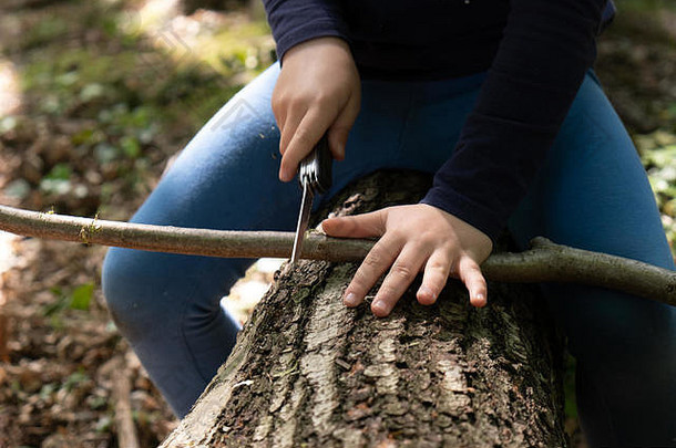 小<strong>女孩</strong>或男孩用瑞士刀的手，在森林里锯一块木头，户外生存和露营，在森林里玩，没有人