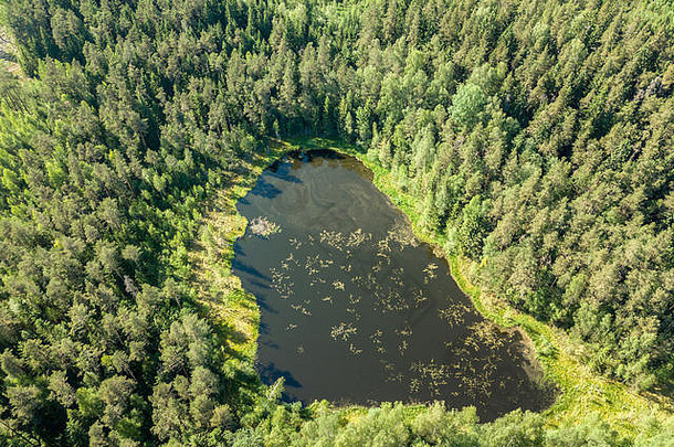 无人机图像。在多云的春天，鸟瞰农村地区的田野和森林。拉脱维亚