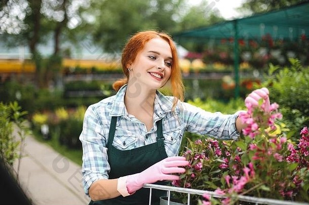 穿着围裙、戴着粉色手套、兴高采烈的花店老板在温室里摆弄鲜花时，高兴地向旁边看