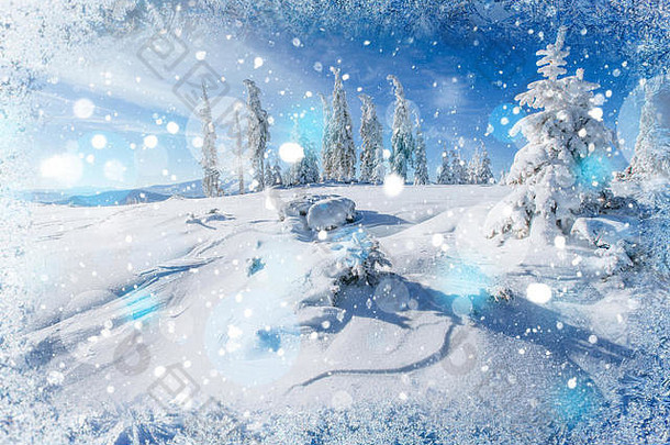 冬天景观树被雪封住的散景背景雪霞