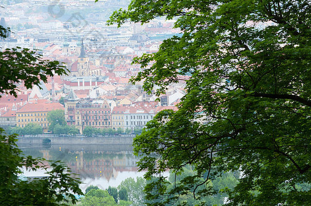 布拉格市的城市天际线倒映在树木环绕的伏尔塔瓦河上