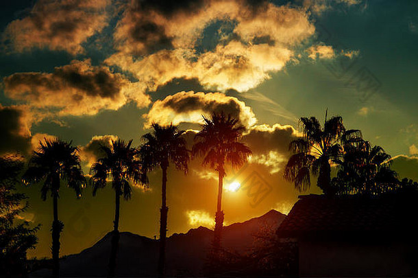 背景上棕榈树剪影的热带日落