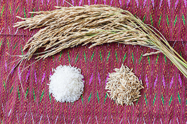 农业大米种子