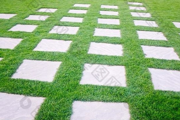 花园里草地上的方形瓷砖