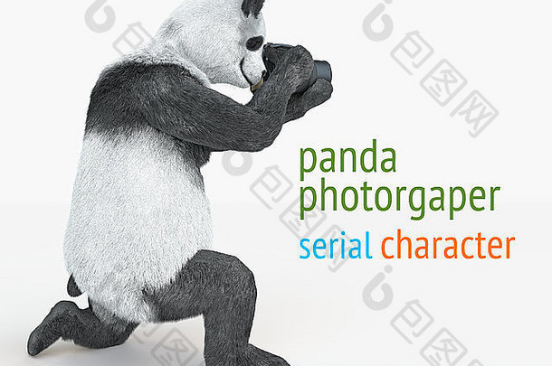 熊猫相机爪子膝盖需要图片孤立的空空间成人动物photograp