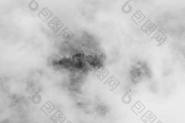 山顶上的树木穿过云层，黑白摄影