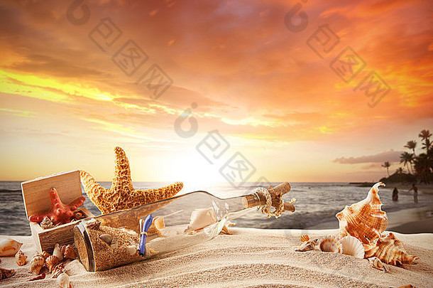 夏天概念桑迪海滩贝壳海星