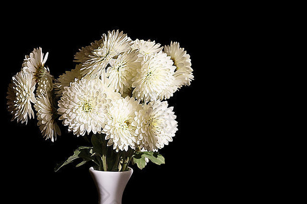 在黑色的背景上，花瓶里有美丽的白花。