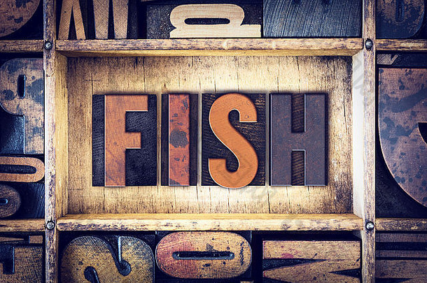 “鱼”这个词是用老式木制活版印刷的。