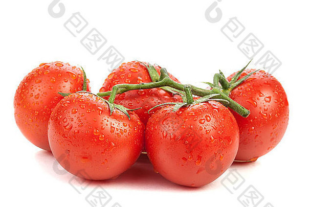 红色和新鲜西红柿的枝干，白色背景上有水滴
