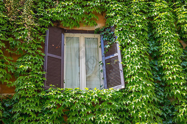 窗口建筑罗马覆盖艾薇