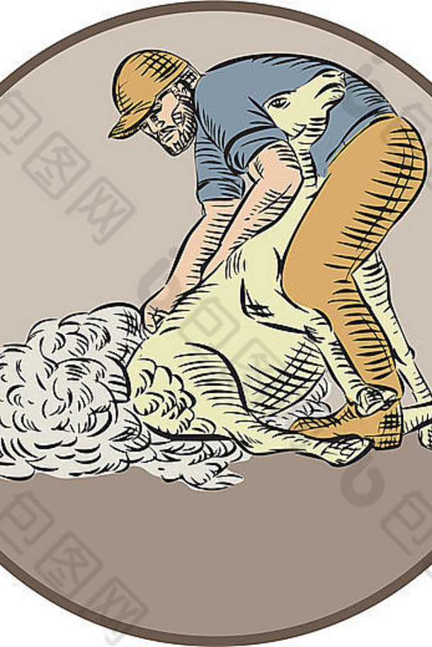 蚀刻雕刻手工制作的插图，一个农工、农民、农工用剪刀从圈内的羊身上剪羊毛，背景是孤立的。