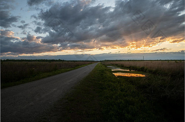 日落时，一条<strong>路延伸</strong>到沼泽和沼泽湿地的地平线