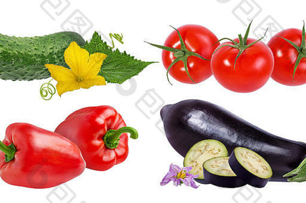 白色背景上分离的番茄、茄子、辣椒和黄瓜