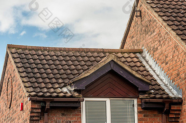 标准家用瓷砖屋顶。