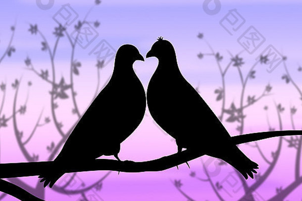 爱鸟意义富有同情心的浪漫喜爱